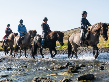 Iceland Horse Riding Tour 